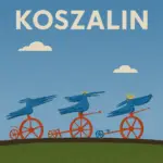 Miliony w błoto? Nowa ulica w Szczecinie już się kruszy 💸