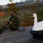 Siódmy Festyn dla Kuby: Pomaganie przez zabawę