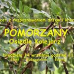 Orlik w Białogardzie po remoncie! Kompleks sportowy znów otwarty dla sportowców ⚽🏀