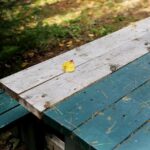 Mecz towarzyski w Szczecinie! Pogoń zmierzy się z Górnikiem Łęczna