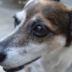 Bezpieczne ferie to podstawa dobrej zabawy ❄️