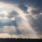 Mózg i maszyna – bliźniacze umysły? 🧠