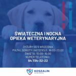 Kreatywny Dzień Otwarty w Kołobrzegu! 🎨🎭