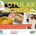 Myślibórz: zamień starą bluzę na „Otulaka”! Akcja szycia legowisk dla psiaków 🐶