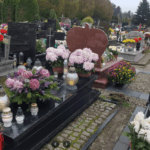 Świnoujście: rewolucja w rozkładach jazdy od listopada 🚌