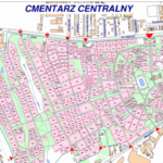 Kierowcy z Indii za kółkiem autobusów w Świnoujściu 🚌