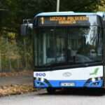 Stargardzkie morsy zapraszają! Szykuje się straszna kąpiel i patriotyczne wejście do wody 🇵🇱