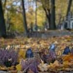 Obowiązkowe OC dla każdego drona! Nowe przepisy wchodzą w życie 🚨