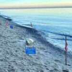 Świetna pogoda, świetne tempo. Idzie nowy asfalt! 🛣️