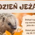 Muzealny weekend w Szczecinie kusi darmowym wstępem i kreatywnymi warsztatami 🎨