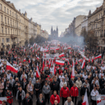 Mała foczka w Pobierowie już bezpieczna 🥰