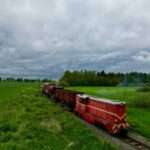 Masz głos! Zobacz, co może powstać w Szczecinie 🤔