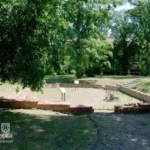 Tłumaczył się kotami, ale stracił prawo jazdy 🙀