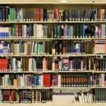 Myśleli, że są sprytni. Fotopułapka nagrała ich na ścieżce rowerowej 🚲