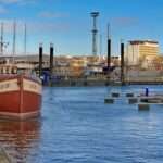 Alarm w powiecie białogardzkim, groźna choroba atakuje drób 🐔