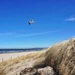 Polonez na plaży i zimna kąpiel, czyli studniówka morsów 🌊