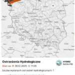 Zostaw marchewkę w domu i nie karm saren 🦌