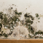 Zbadaj swoją tarczycę za darmo w Świnoujściu 🩺