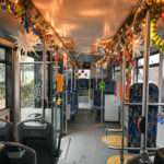 Mieszkańcy Szczecina wybrali nowe atrakcje i wkrótce miasto opanują małe gryfy 🦅