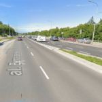 Wielki remont kanalizacji musi ustąpić małym mieszkańcom lasu 🐜