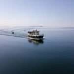 Praktyczne gadżety do kuchni, które zachwycą każdego 🎁