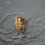 Magia świąt opanuje centrum Białogardu już w ten piątek 🎄