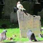 Najlepsza choinka na święta to ta prosto z lasu 🌲