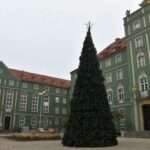 Założysz własną firmę jednym kliknięciem w telefonie 📱