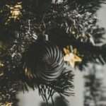 Wielka afera z budową domu na terenie dawnego cmentarza 🛑