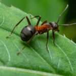 Mieszkańcy mają dość piratów drogowych pędzących pod ich oknami 🚔