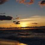 Szczecin ma nową choinkę za ponad ćwierć miliona złotych 🎄