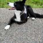 Wyjątkowi goście przynieśli pacjentom onkologii serce na dłoni 💖