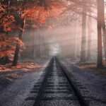 W Szczecinie ruszyła genialna akcja wymiany świątecznych dekoracji 🎄