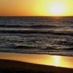 Naukowcy z Gdańska zbudowali pogromcę dronów ⚡