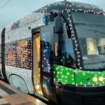 Zrób świąteczną paczkę dla bezdomniaków ze Szczecina i Dobrej 🐾