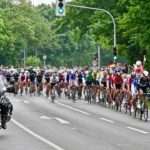 Żywego prezentu pod choinką w tym roku nie znajdziecie 🐹