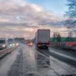 Zostaw marchewkę w domu i nie karm saren 🦌