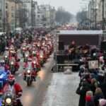 Kleszcze wcale nie śpią zimą i wciąż są groźne dla naszych pupili 🐾