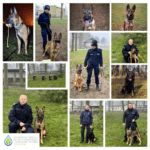 Ważą się losy wjazdu starszych aut do centrum Szczecina 🚗