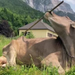 Świnoujście odpala turbo ferie 2026! ⛵