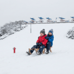 17-latek za kółkiem bez uprawnień wpadł w ręce policji 🚔