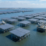 Pożegnaj kolejki w przychodniach dzięki nowej e-rejestracji 🩺