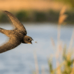 Zmiana nawyków to jeden z najczęstszych celów noworocznych Polaków 🥗