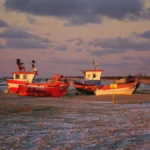 Nowe apartamenty dla czworonogów w Klępinie 🐶