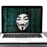 Zwierzaki w Świnoujściu zyskują nowych opiekunów 🐾