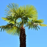 Bałtyk zimą to absolutny hit sezonu 🌊