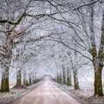 Drogowcy walczą z zimą, a kierowcy muszą zachować czujność ❄️