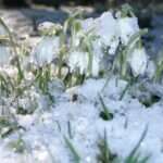 Wielki zastrzyk gotówki na remonty dróg w naszym regionie 🚗