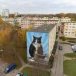 Królewski orszak wskoczył prosto do lodowatej wody 👑