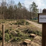 ZUT rozdaje darmową wiedzę maturzystom! 🎓